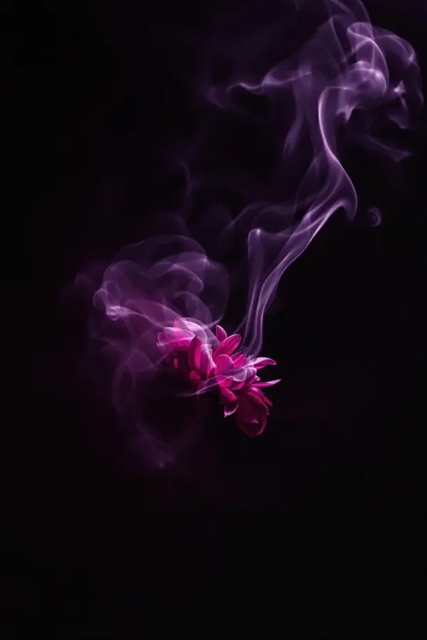 番茄魔改短剧《影子与星辰》封面